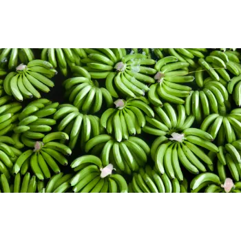 Organic Green Banana 